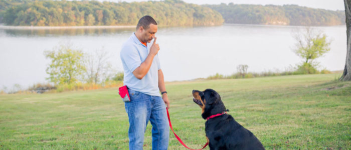 Michael - D.O.G. Obedience Group - Trainer