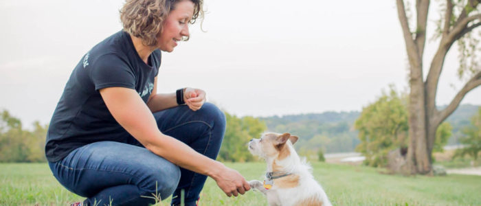 D.O.G. Obedience Group Trainer