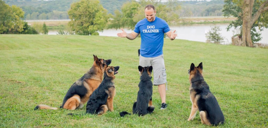 Chris White - D.O.G. Obedience Group Owner and Trainer image 4